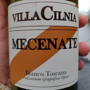 Mecenate - Villacilnia - villa-cilnia