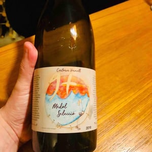 Mèdol Selecció Cartoixà Vermell - Celler 9+ - Moises Virgili i Rovira 
