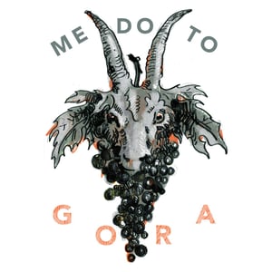 Medoto Gora