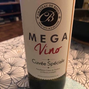Mega Vino - Château De Bioul - vanessa-and-andy-wyckmans-vaxelaire