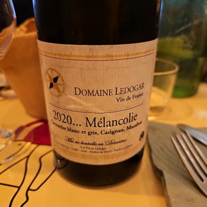 Mélancolie - Domaine Ledogar - xavier-mathieu-benoit-ledogar