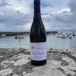 Mélancolie - Domaine Ledogar - xavier-mathieu-benoit-ledogar