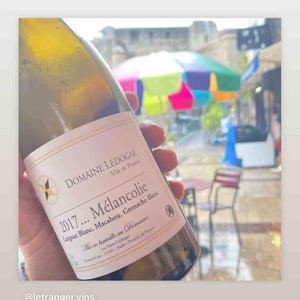 Mélancolie - Domaine Ledogar - xavier-mathieu-benoit-ledogar