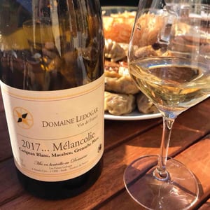 Mélancolie - Domaine Ledogar - xavier-mathieu-benoit-ledogar