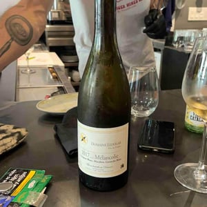 Mélancolie - Domaine Ledogar - Xavier, Mathieu & Benoît Ledogar 