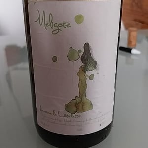 Méligoté - Domaine de la Côtelette - Sandra et Benoît Kilian 