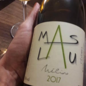 Melina Blanc - Mas Lau - laurent-bagnol