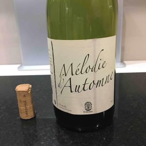 Mélodie d'Automne - Michel Guignier - michel-guignier