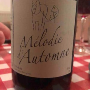 Mélodie d'Automne - Michel Guignier - Michel Guignier 