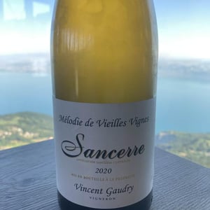 Mélodie de vieilles vignes - Vincent Gaudry - vincent-gaudry -2020