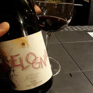 Monte di Grazia - Alfonso Arpino - Melogna