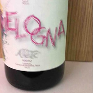Melogna - Monte di Grazia - Alfonso Arpino 