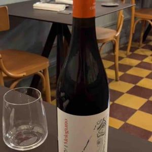 Melograno - Podere Còncori - Gabriele Da Prato 