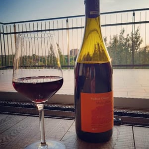 Melograno - Podere Còncori - gabriele-da-prato