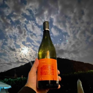 Podere Còncori - Gabriele Da Prato - Melograno