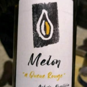 Melon à Queue Rouge - Kevin Bouillet - Kevin Bouillet -2019
