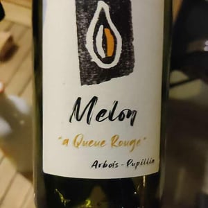 Melon à Queue Rouge - Kevin Bouillet - Kevin Bouillet -2019
