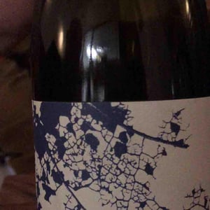 Melon de Bourgogne - Clos Du Pont Marmite - robin-euvrard