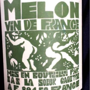 Domaine de La Soeur Cadette - Jean & Valentin Montanet - Melon