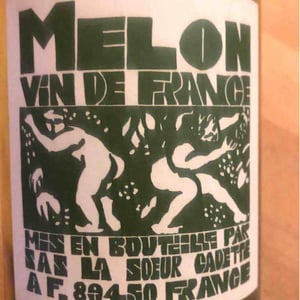 Domaine de La Soeur Cadette - Jean & Valentin Montanet - Melon