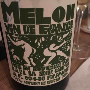 Melon - Domaine de La Soeur Cadette - Jean & Valentin Montanet 