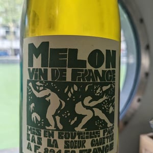 Melon - Domaine de La Soeur Cadette - jean-valentin-montanet