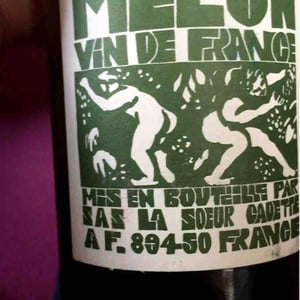 Domaine de La Soeur Cadette - Jean & Valentin Montanet - Melon
