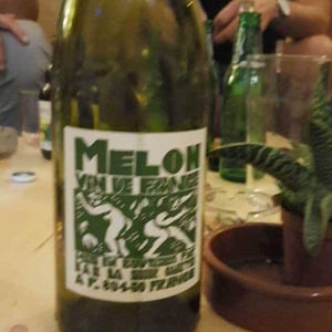 Domaine de La Soeur Cadette - Jean & Valentin Montanet - Melon