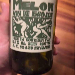 Domaine de La Soeur Cadette - Jean & Valentin Montanet - Melon