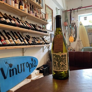 Melon - Domaine de La Soeur Cadette - jean-valentin-montanet