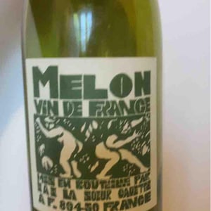 Domaine de La Soeur Cadette - Jean & Valentin Montanet - Melon
