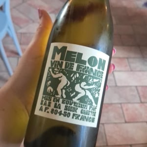 Melon - Domaine de La Soeur Cadette - jean-valentin-montanet