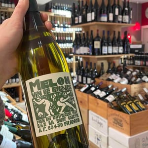 Melon - Domaine de La Soeur Cadette - jean-valentin-montanet