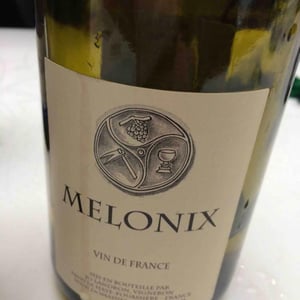 Melonix - Domaine Jo Landron - jo-landron