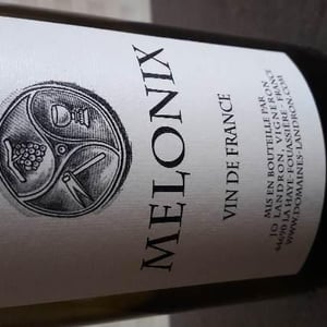Melonix - Domaine Jo Landron - jo-landron