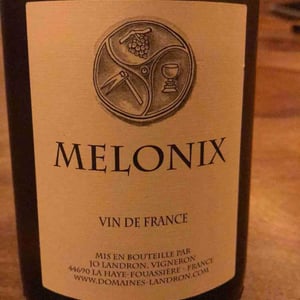 Melonix - Domaine Jo Landron - jo-landron