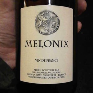 Melonix - Domaine Jo Landron - jo-landron