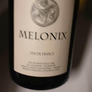 Melonix - Domaine Jo Landron - jo-landron