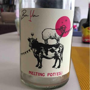 Melting Pot(es) Blanc - Domaine De Bonvin - manu-jean-baptiste-roux -2019