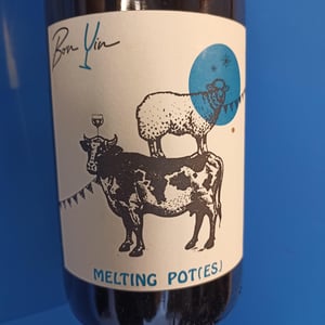 Melting Pot(es) Blanc - Domaine De Bonvin - Manu & Jean-Baptiste Roux -2019
