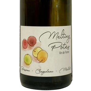 Melting Potes - Nicolas Maillet - nicolas-maillet -2022