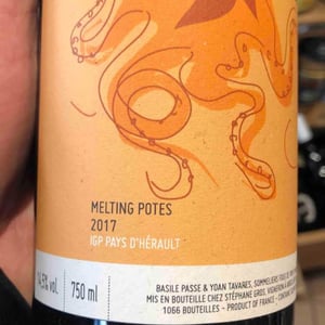 Melting Potes Rouge - Vin des Potes - Basile Passe -2016