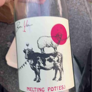 Melting Pot(es) Rouge - Domaine De Bonvin - manu-jean-baptiste-roux -2019