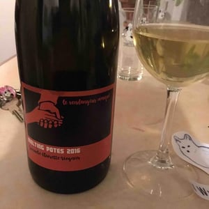 Melting Potes - Alice & Olivier De Moor - alice-olivier-de-moor