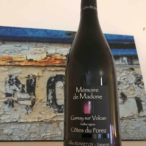 Mémoire De Madone 2017