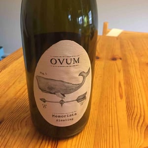 Memorista - Ovum - ksenija-and-john-house
