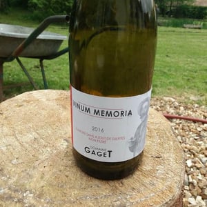 vinum memoria - Le Domaine Gaget - mikael-gaget-4j