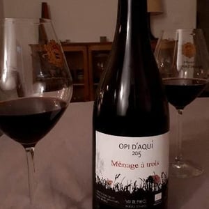 Ménage à Trois - Opi d'Aquí - Philippe Formentin 