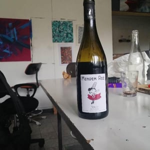 Domaine de la Tourlaudière - Romain Petiteau - Mendem Roz