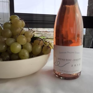 Menetou-Salon - Domaine Philippe Gilbert - philippe-gilbert -2019